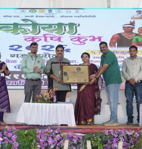 Finger Millet World Record